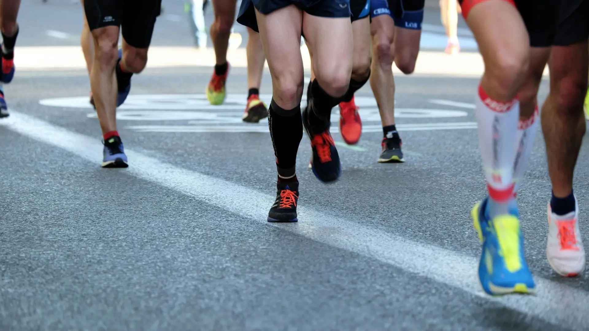 Vi2Mi-Projekte_Wingsforliveworldrun