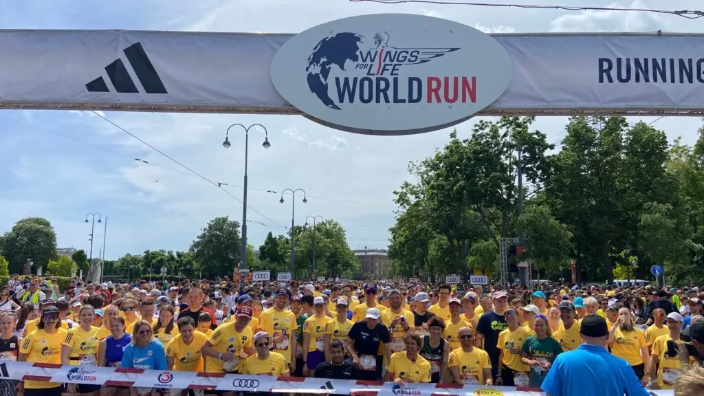 Vi2Mi Projekt Wings for life