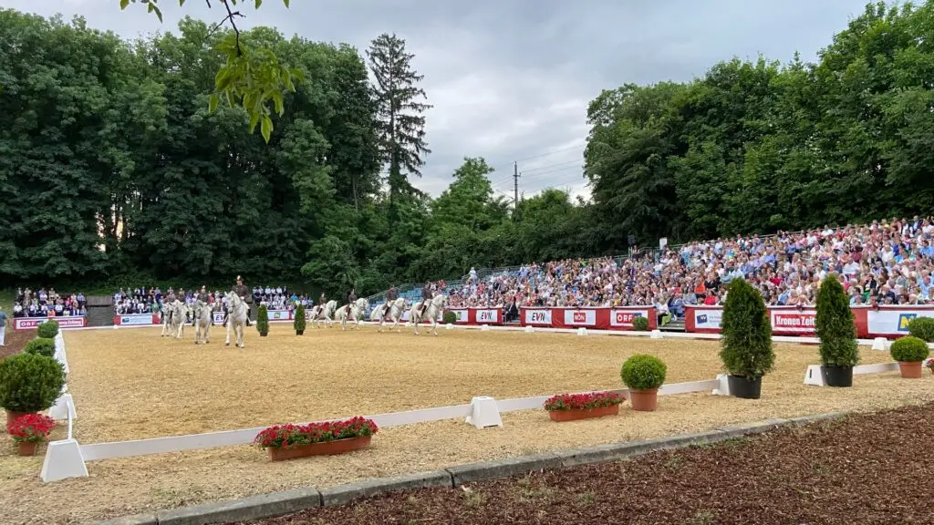 Vi2Mi Projekt Lipizzaner Gala – Heldenberg