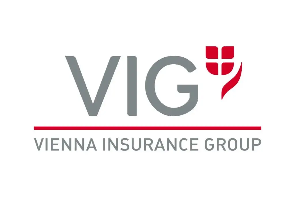 Vision2Mission Partnerlogo VIG